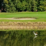 Waregem Golf  1